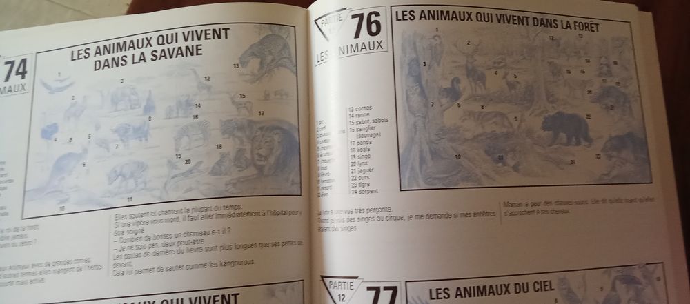 Collection Tout l'univers Livres et BD