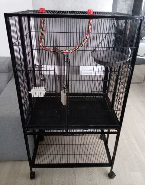 Cage oiseaux 80 29200 Brest