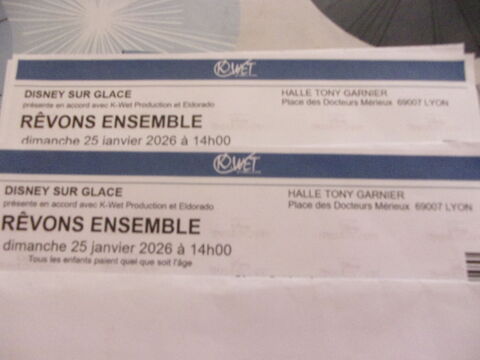 billet disney sur glace lyon 0 Villeurbanne (69)