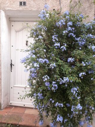  Maison � vendre 5 pi�ces 95 m�