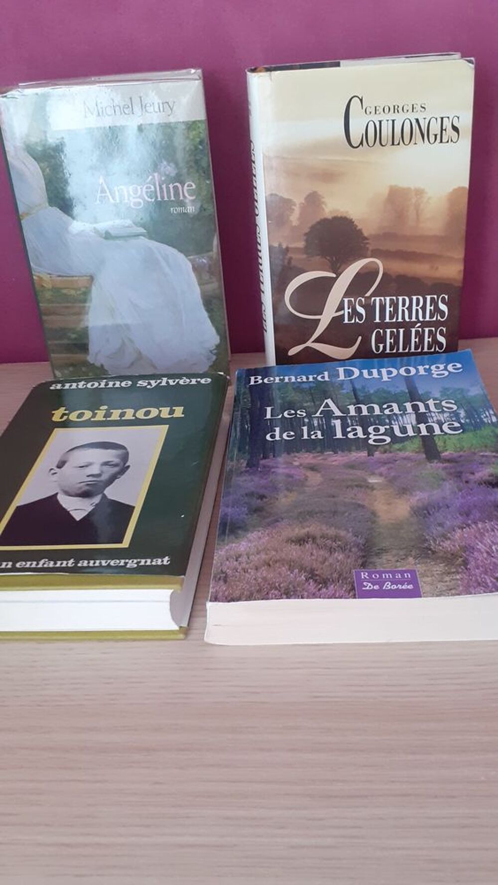 ROMANS DU TERROIR Livres et BD