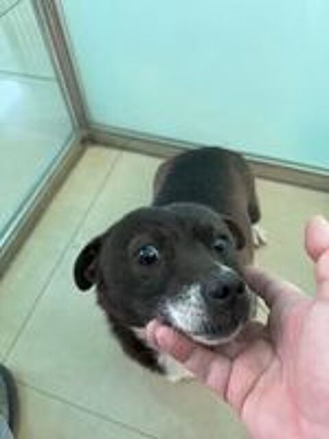  MILLIE SE TROUVE DANS UN REFUGE EN CHINE 