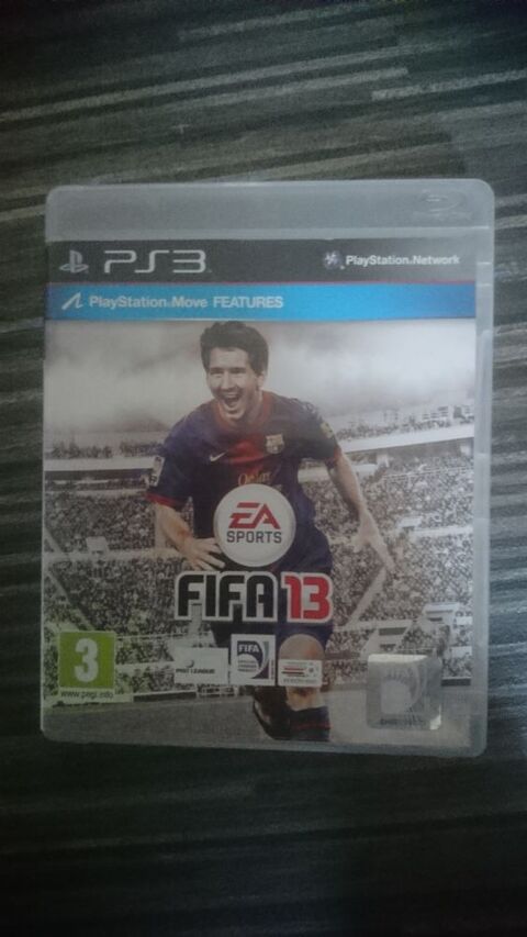 FIFA 2013 3 Honfleur (14)