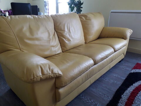 Canap et feux fauteuils 100 Lanmeur (29)