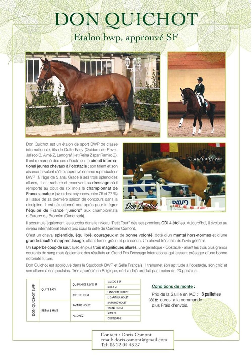   Saillies IAC Don Quichot BWP par Quite Easy & Reina Z 