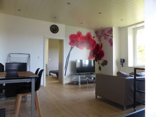  Appartement à louer 1 pièce 43 m²