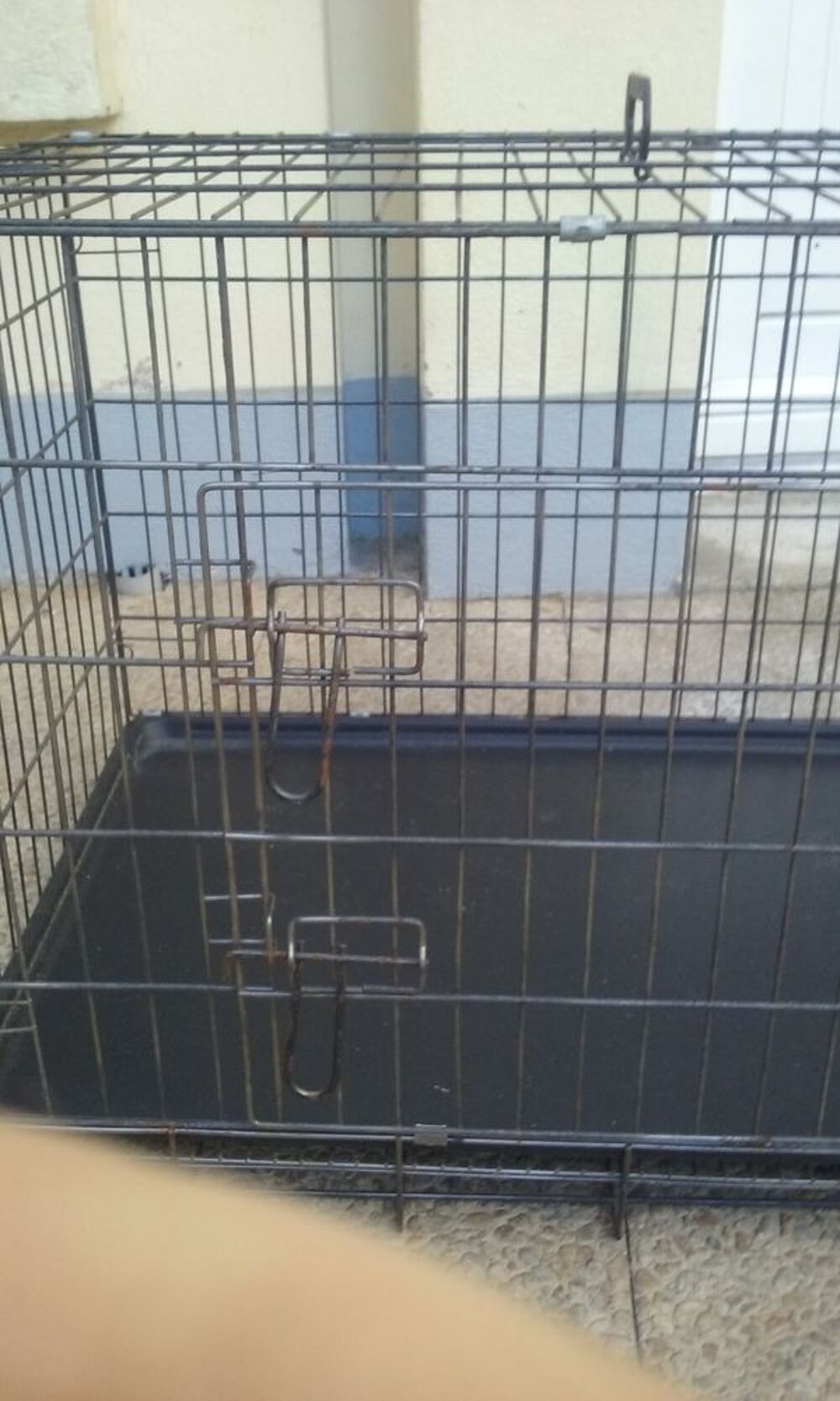 cage en fer avec plateau Jardin