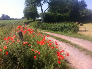  Maison � vendre 2 pi�ces 50 m�