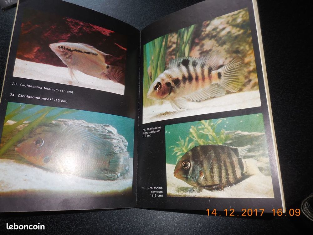 le guide marabout de l'aquarium
Livres et BD