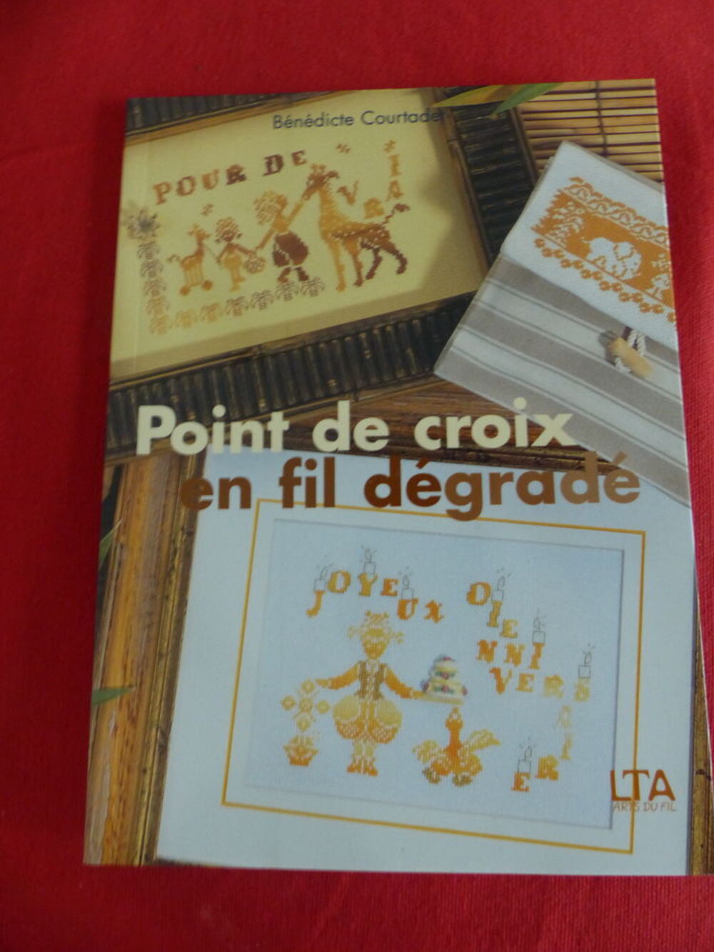 " POINT DE CROIX AU FIL DEGRADE " Livres et BD