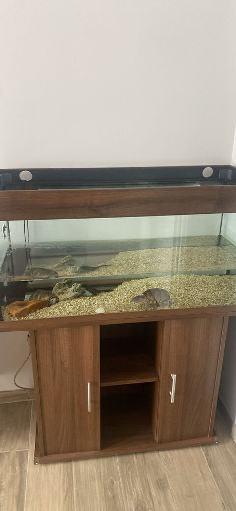 Tortue + aquarium 300 65500 Pujo