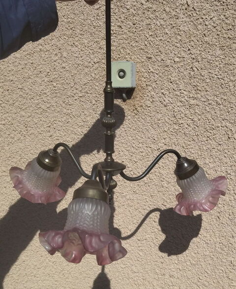 Lustre fleurs ann�es 20 55 Toulouse (31)