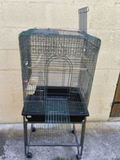   Cage perroquet  