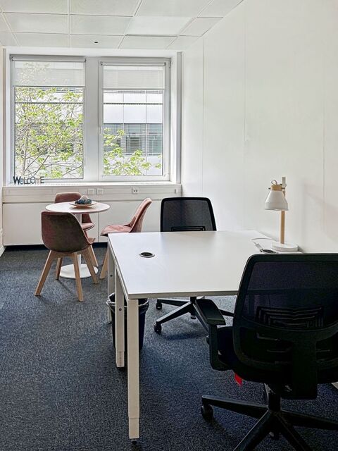 Espace de travail priv&eacute; personnalis&eacute; en fonction des besoins uniques de votre entreprise &agrave; Espace Europ&eacute;en de l'Entreprise 489 67300 Schiltigheim