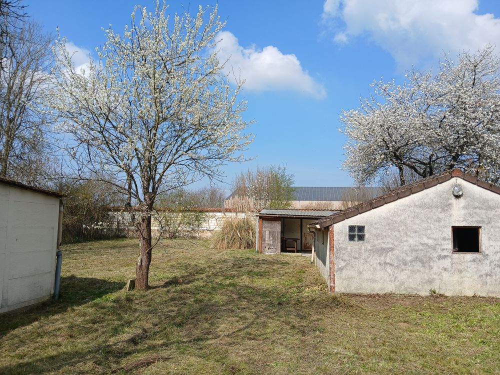 Vente Terrain Terrain et dépendances Villeneuve-l'archevêque