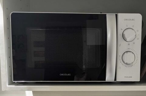 Four micro-ondes 30 L'Escarne (06)