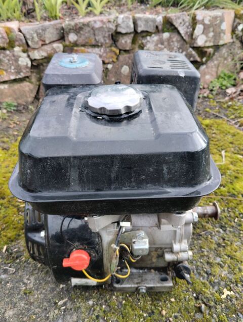 Moteur Briggs Straton nouveau mod�le 7,5 HP 65 Feurs (42)