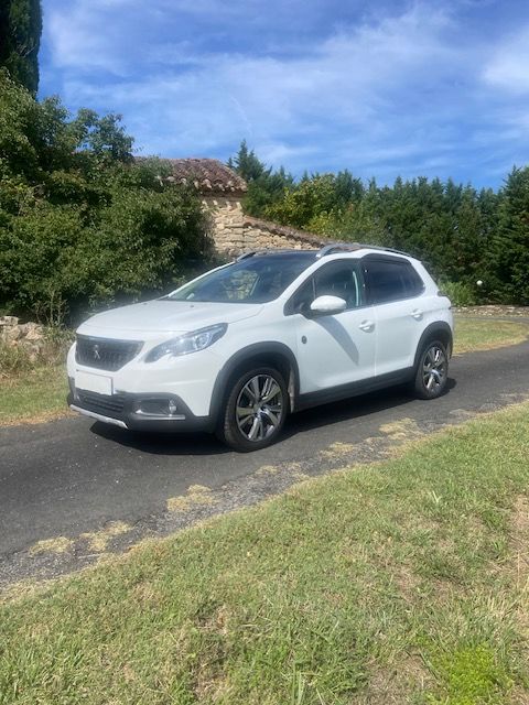 Peugeot 2008 BlueHDi 100ch S&S BVM5 Active Business 2019 occasion Carlus 81990