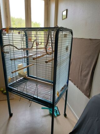 Ferplast Cage pour canaris et petits oiseaux REG…