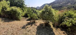  Terrain à vendre 16000 m² Menton