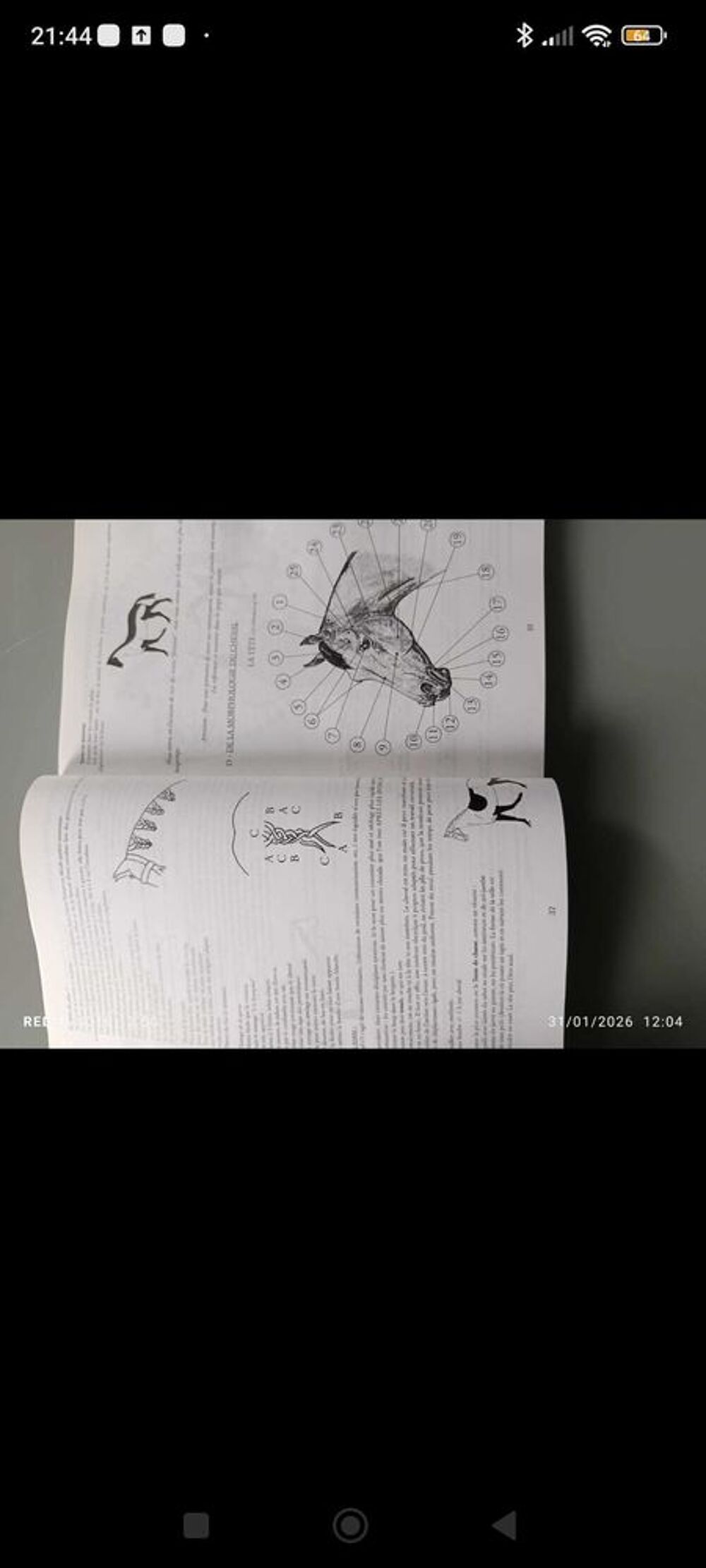 livre pr&eacute;cis de l'homme de cheval d&eacute;dicac&eacute; Livres et BD