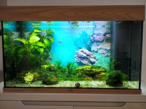 Aquarium complet 250 44600 Saint-nazaire