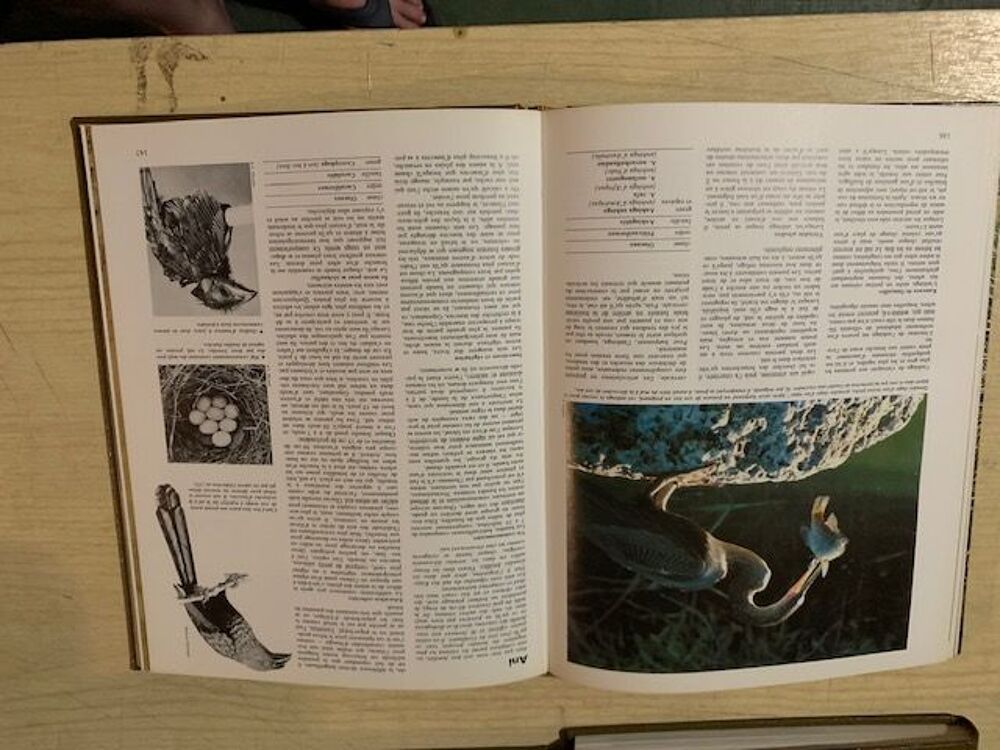 Larousse Livres et BD