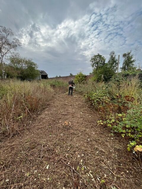 Débroussaillage difficile terrain friche Orties étang pâture 0 80190 Morchain