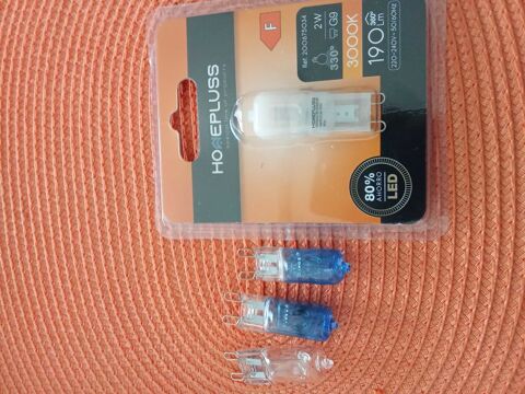 Ampoules led G9 2 Vichy (03)