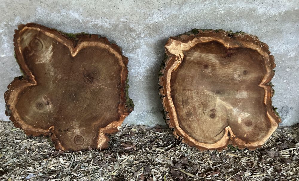 grandes rondelles bois brut, tranches de bois massif Jardin