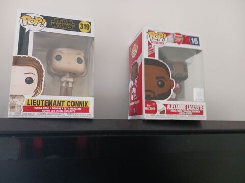 Le lot de deux pop 40 Plerguer (35)