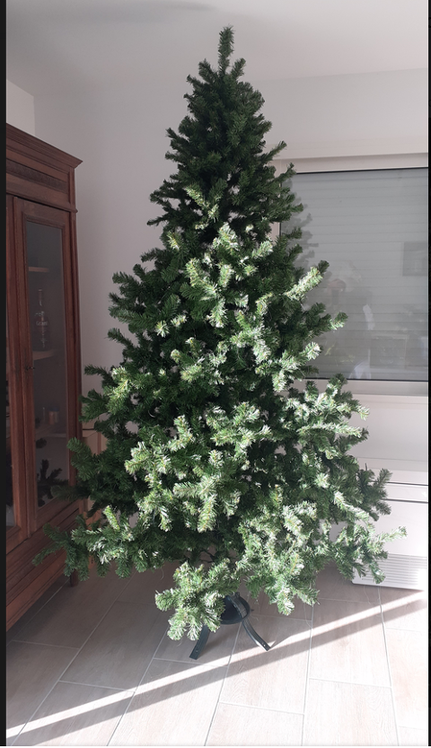 Sapin de Noël Castres (81)