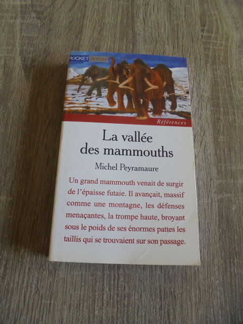 La valle des mammouths (106) 4 Tours (37)