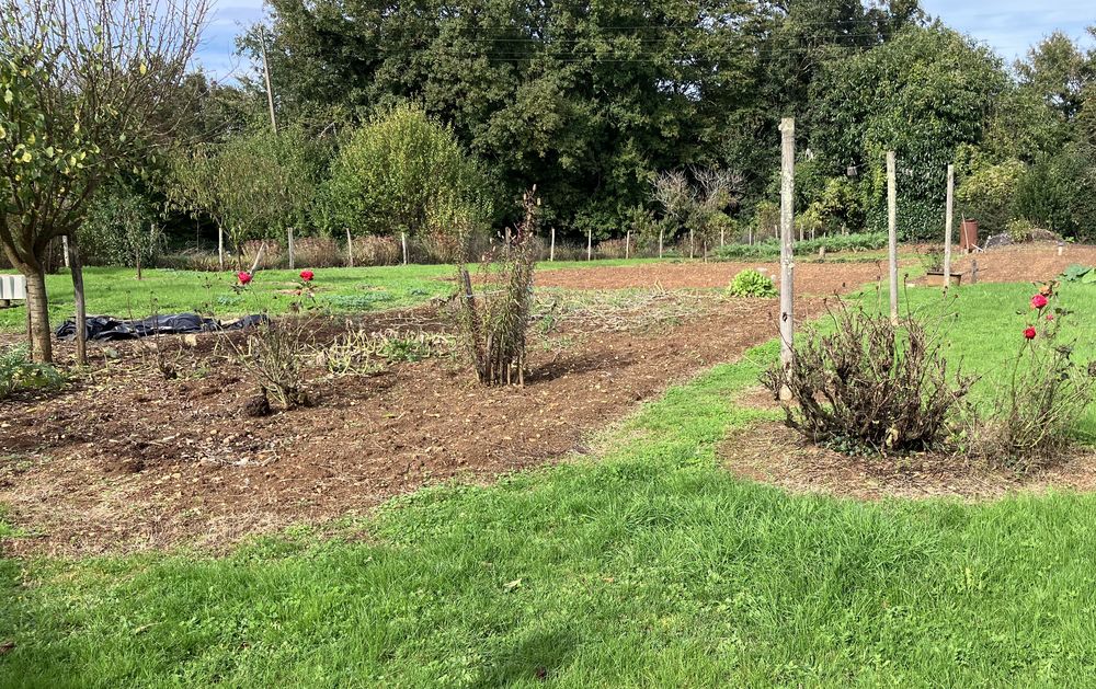 Vente Maison maison de campagne La forêt-de-tessé