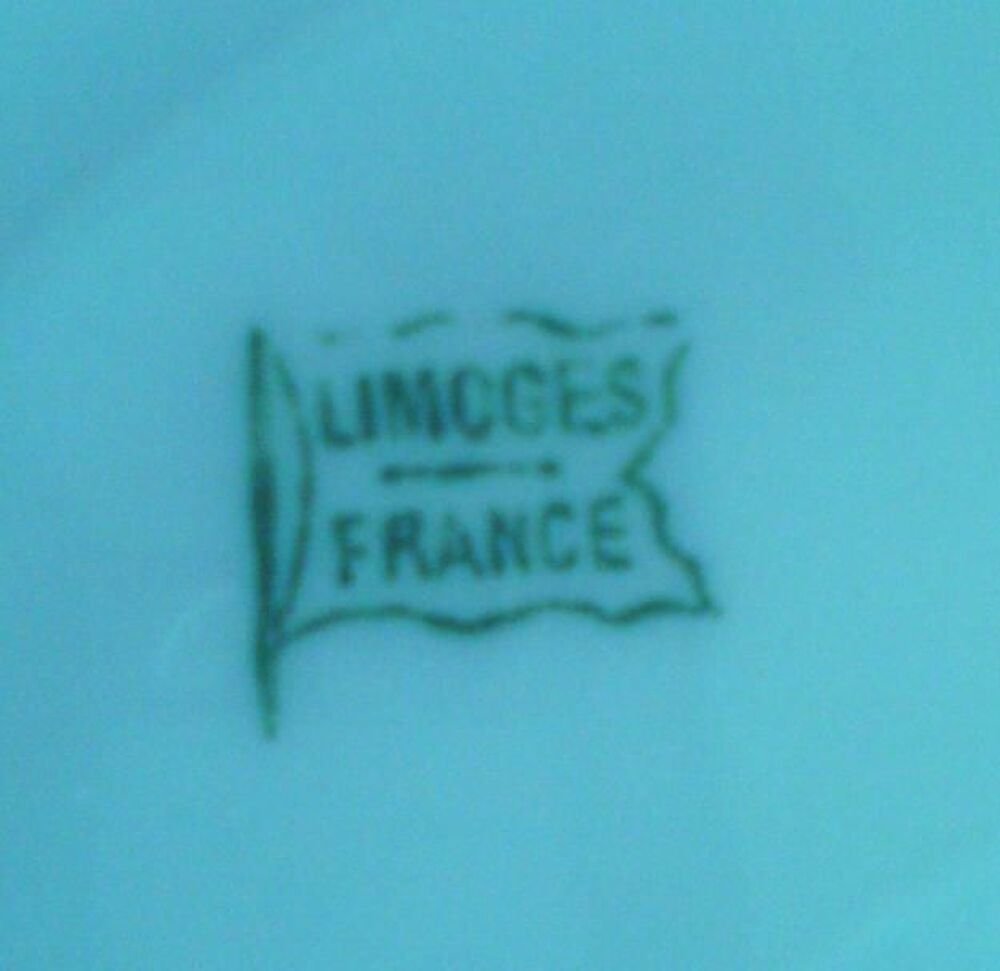 porcelaines de Limoges Electroménager