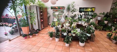 Fond de commerce Fleuriste 135000 42210 Montrond-les-bains