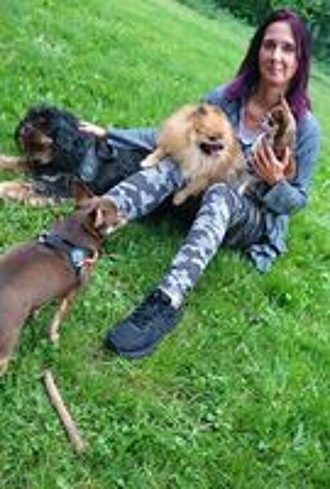   pension familiale pour animaux chiens chats oiseaux rongeurs 