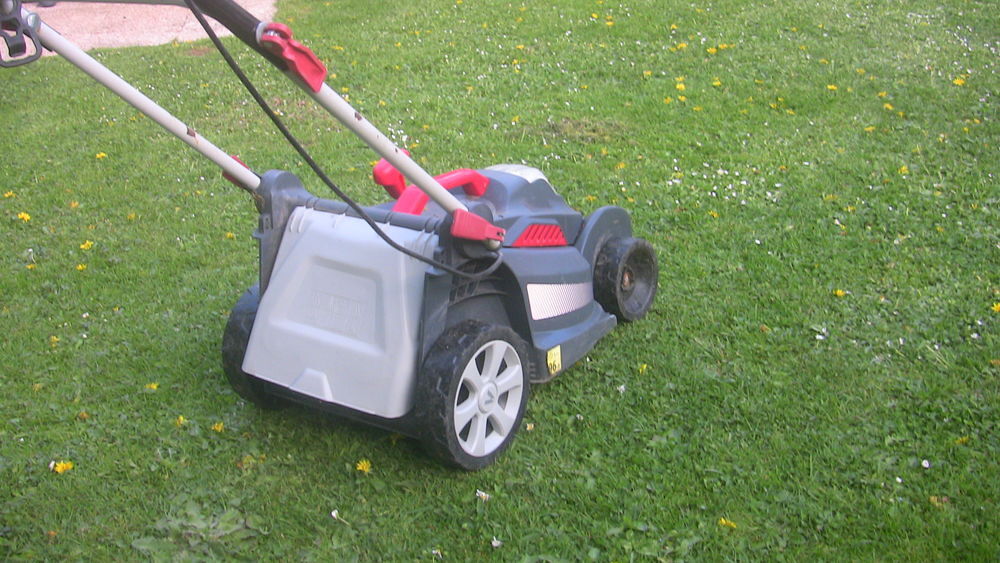 tondeuse electrique Jardin