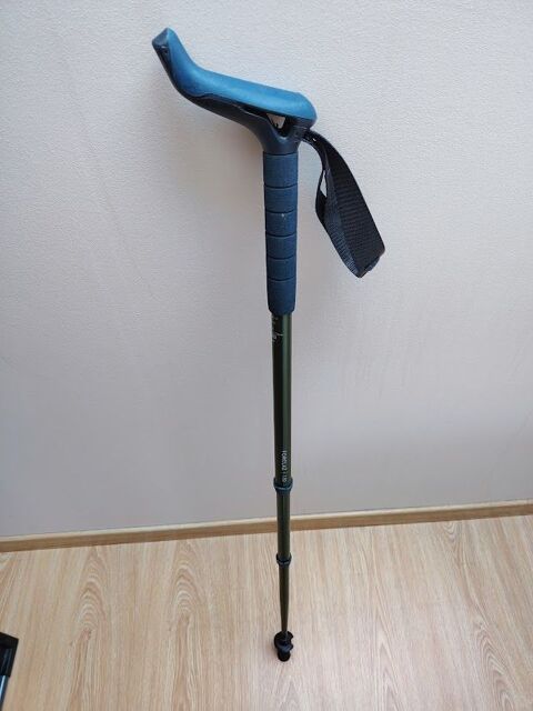 CANE POUR HANDICAPE Suc�-sur-Erdre (44)