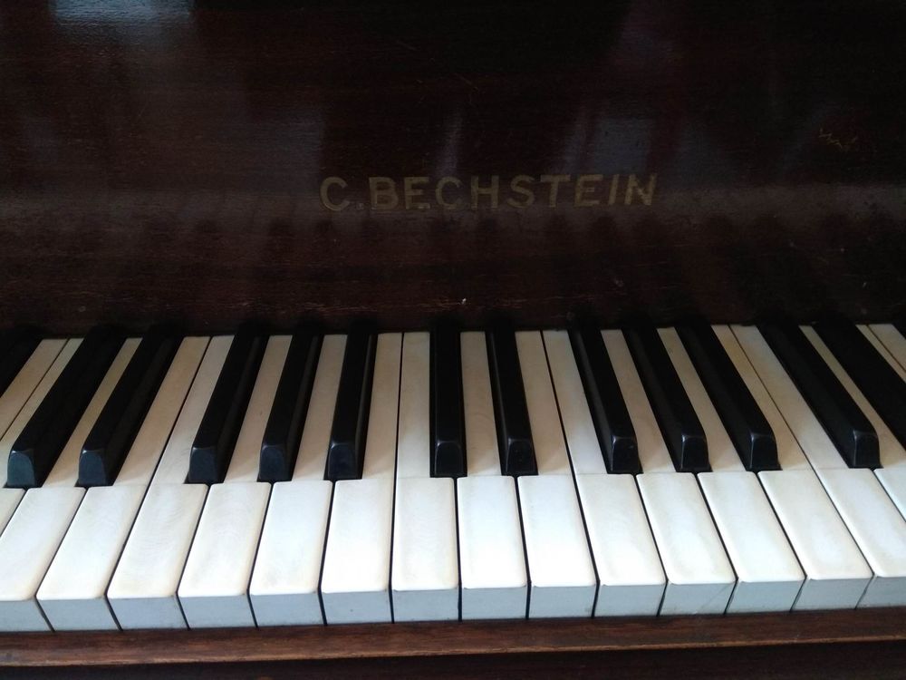 Bechstein Instruments de musique