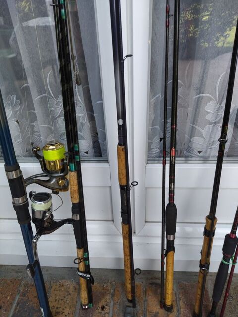 Cannes  pche 25 Saint-Brice-sous-Fort (95)