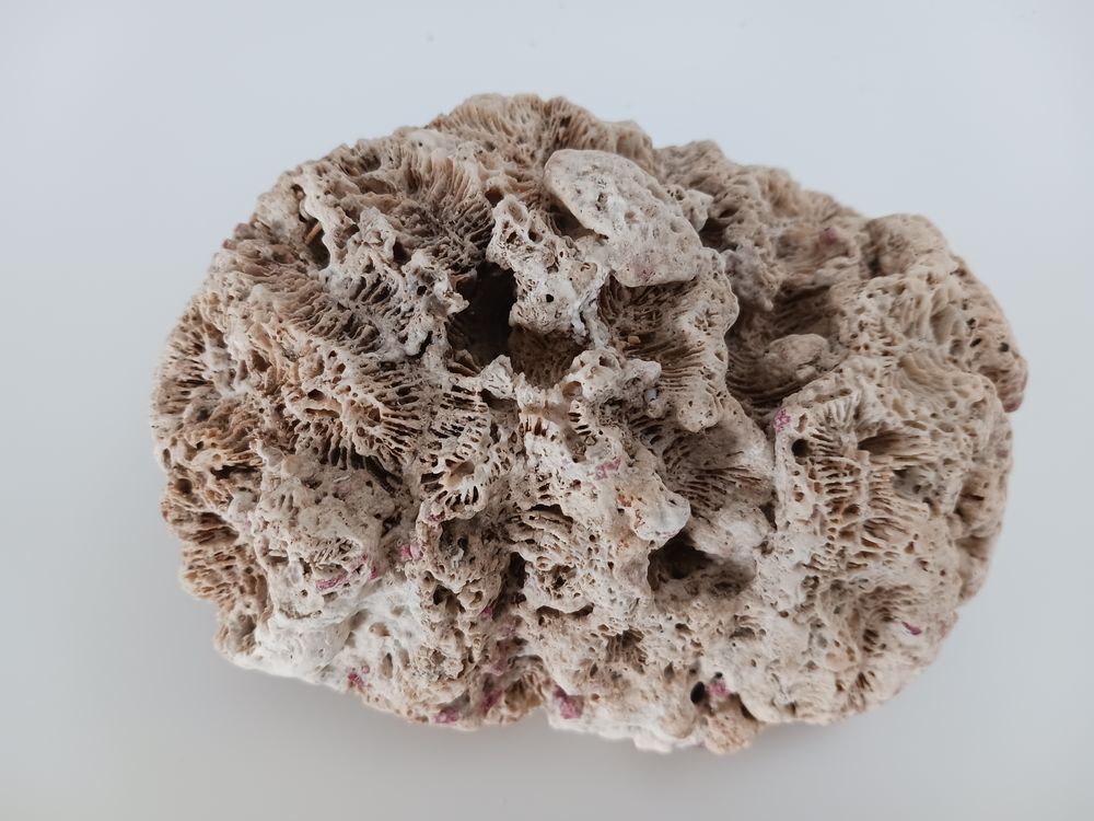 Kaolinite necker 