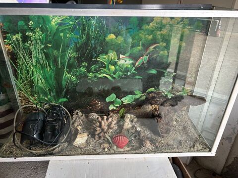 Aquarium Lieusaint (77)