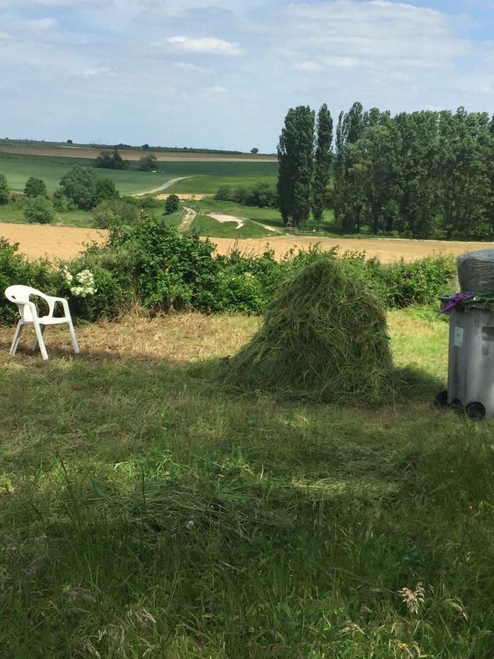 pour ceux qui souhaite jardiner sur mon terrain
Gratuit Jardin