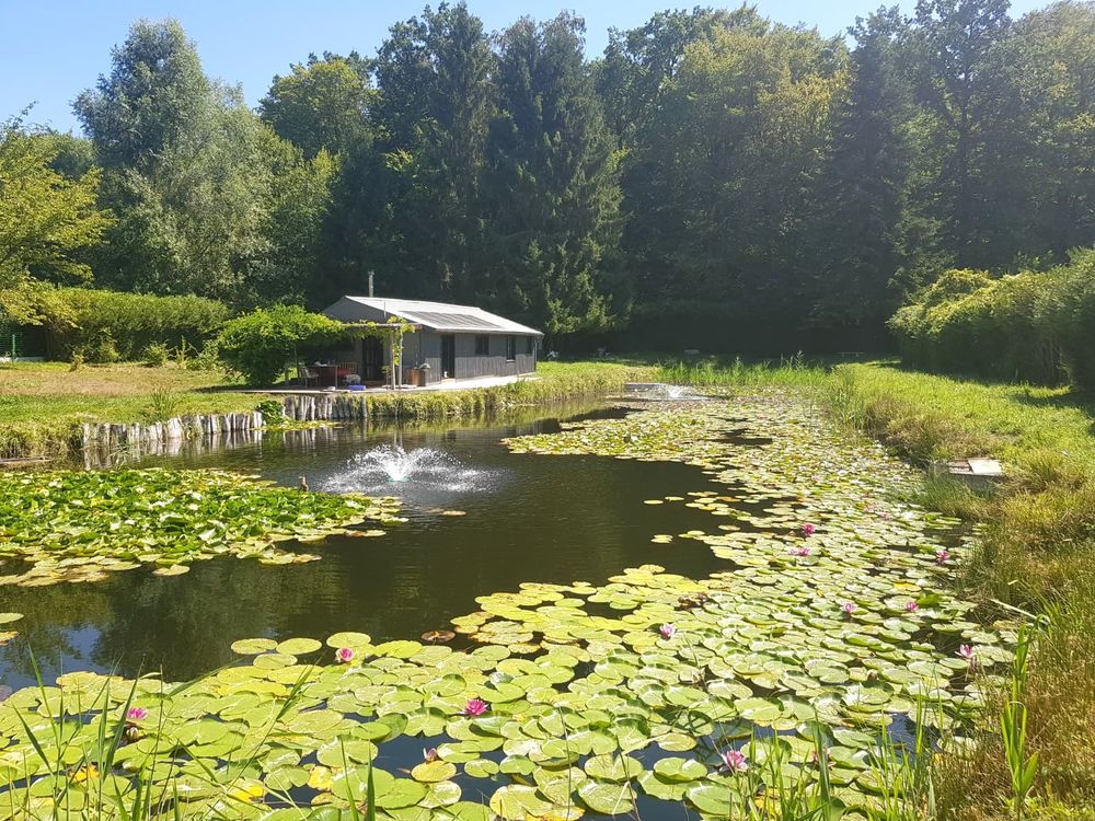Vente Chalet Un chalet, un étang: un art de vivre tourné vers l'essentiel Saint-gobain