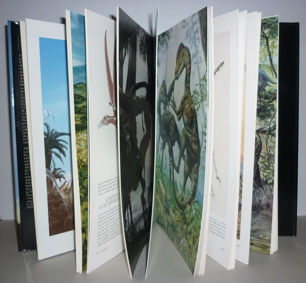 LES DINOSAURES Sylvia et Stephen Czerkas &Eacute;dit. ATLAS 1990) Livres et BD
