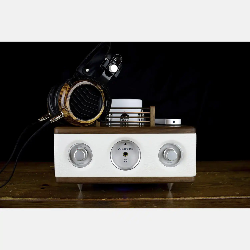 Ampli haut-de-gamme Auris HA-2 SE Audio et hifi
