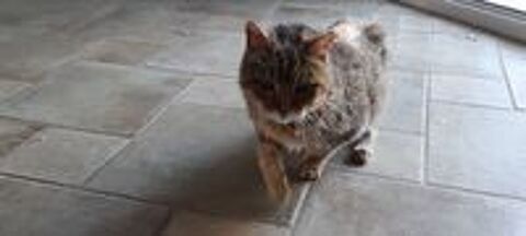   HELP pour Sissi, PANIER RETRAITE 