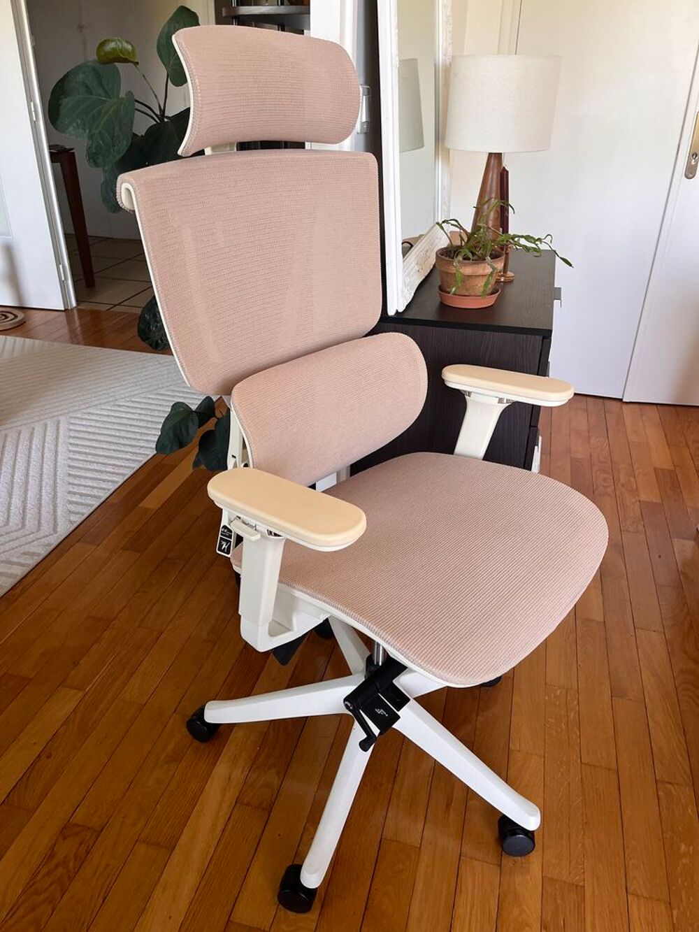 Chaise de bureau ergonomique Flexispot Meubles