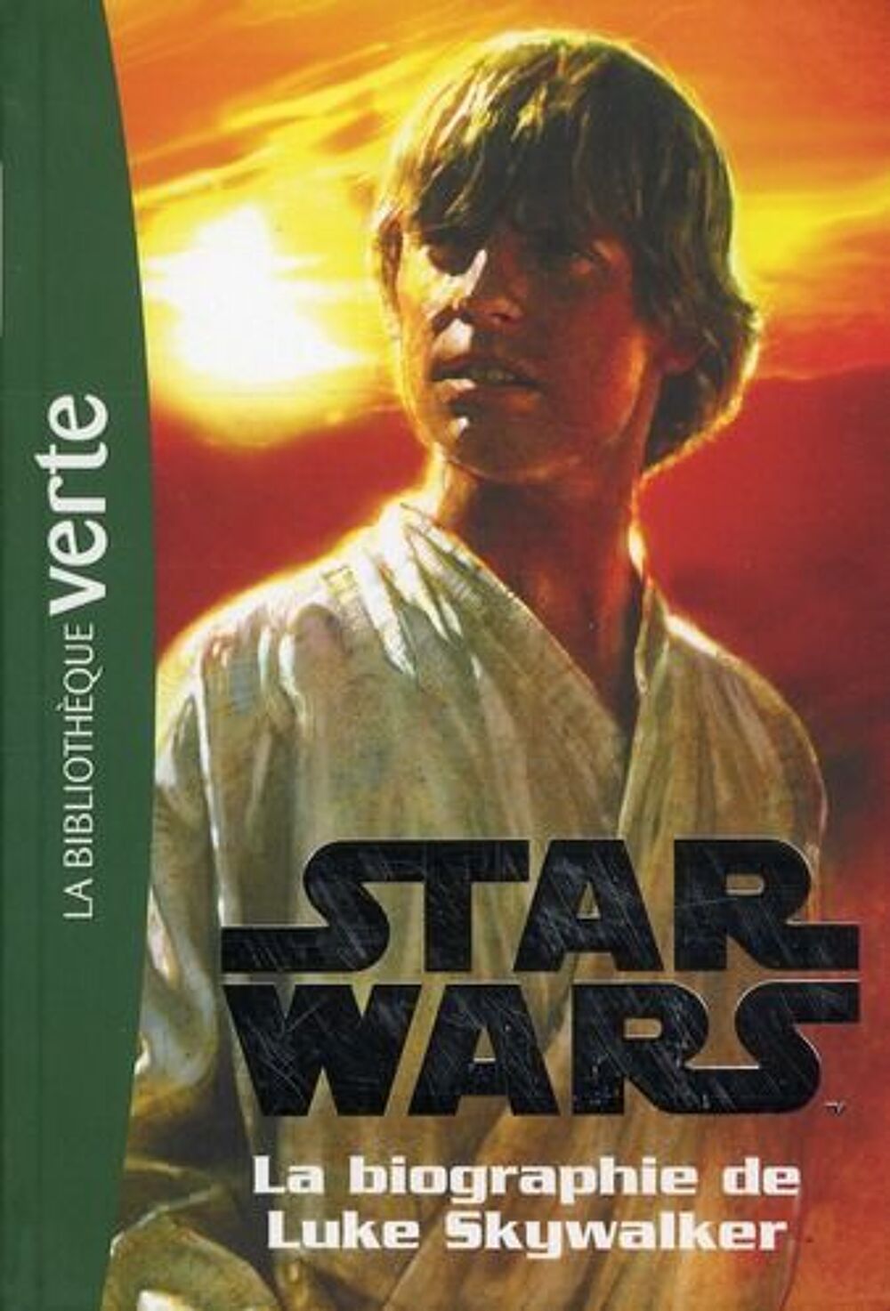 Star Wars t.1 ; biographie de Luke Skywalker Livres et BD